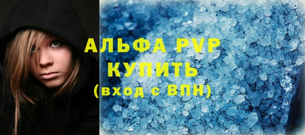 apvp Каменка