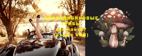 крисы Каменск-Шахтинский