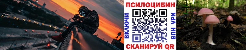 Псилоцибиновые грибы мицелий  Североуральск 